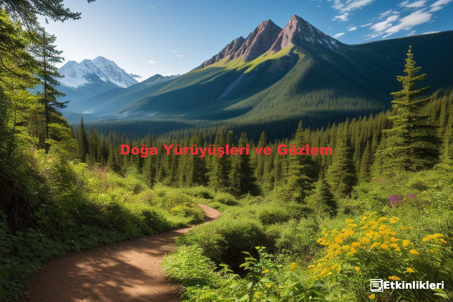 Doğa Yürüyüşleri ve Gözlem