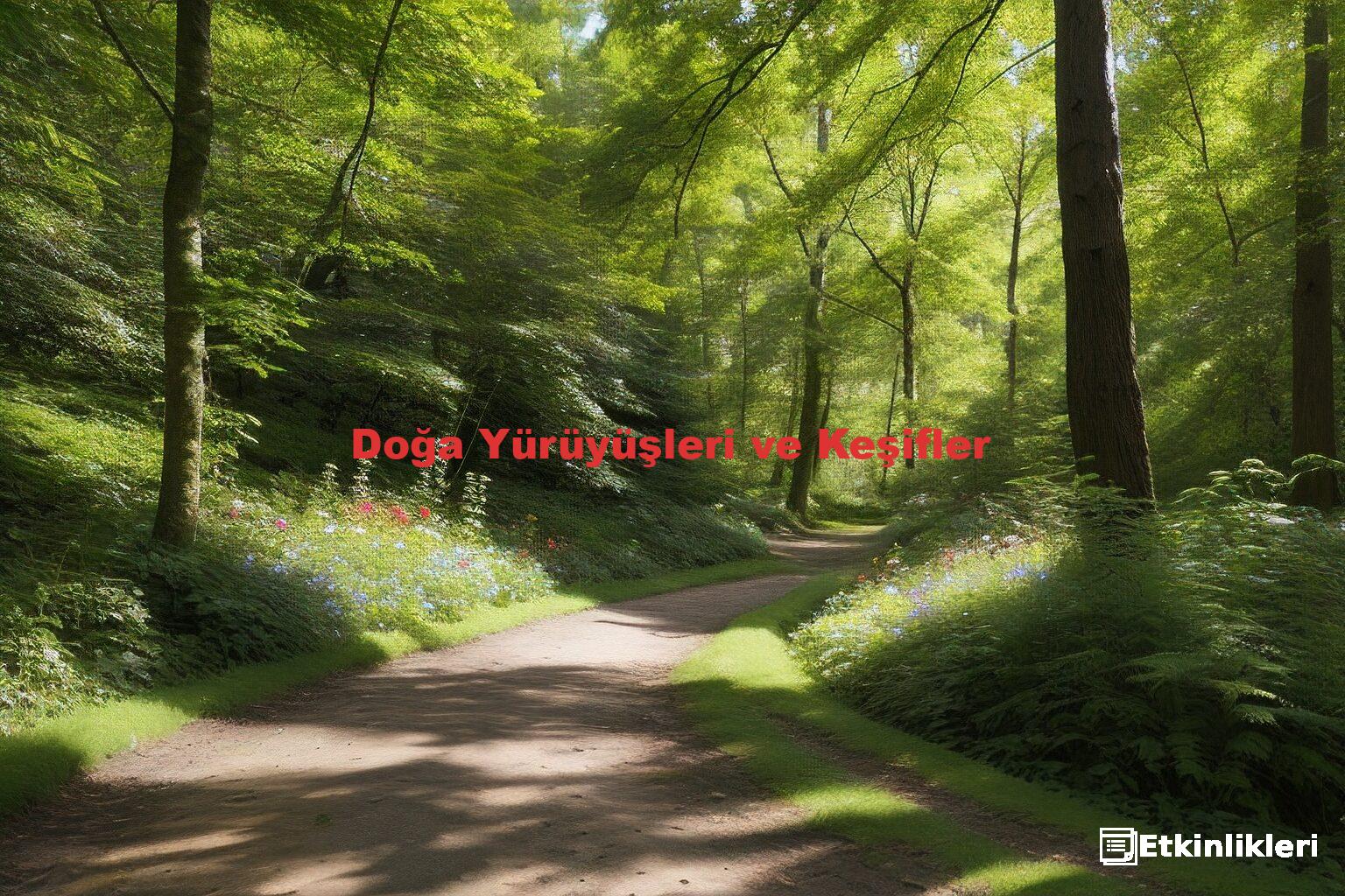 Doğa Yürüyüşleri ve Keşifler