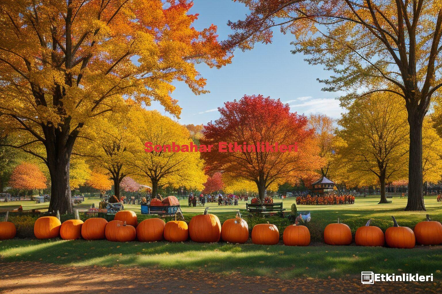 Sonbahar Etkinlikleri