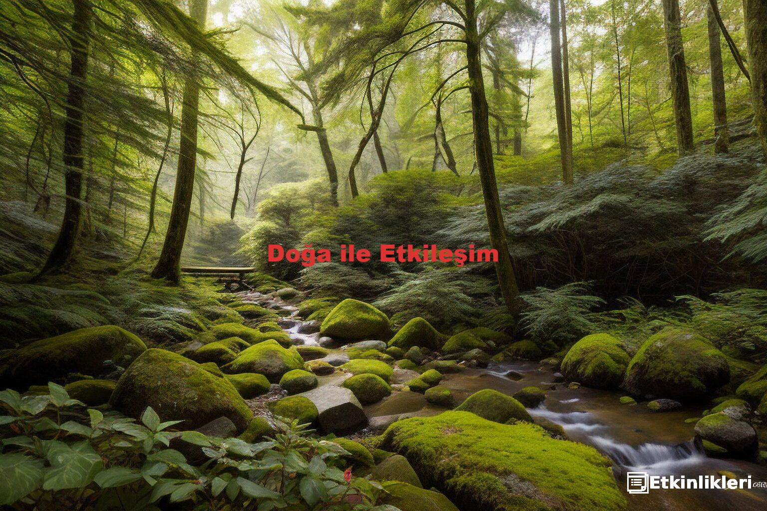 Doğa ile Etkileşim