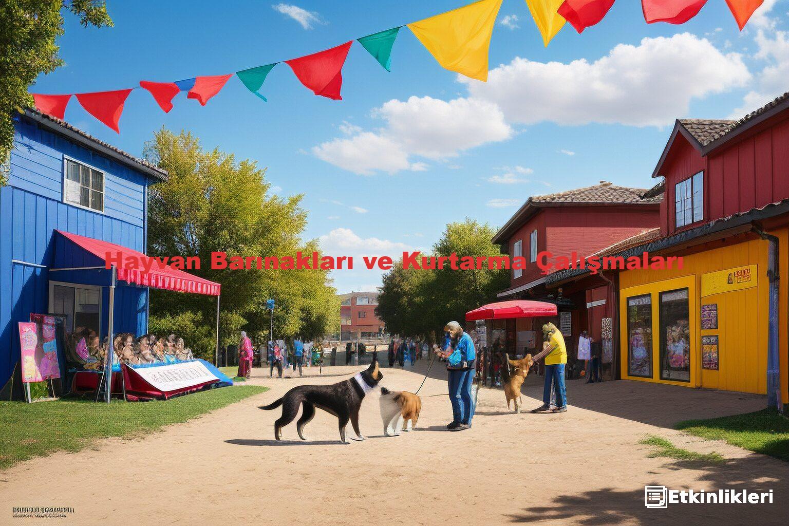 Hayvan Barınakları ve Kurtarma Çalışmaları