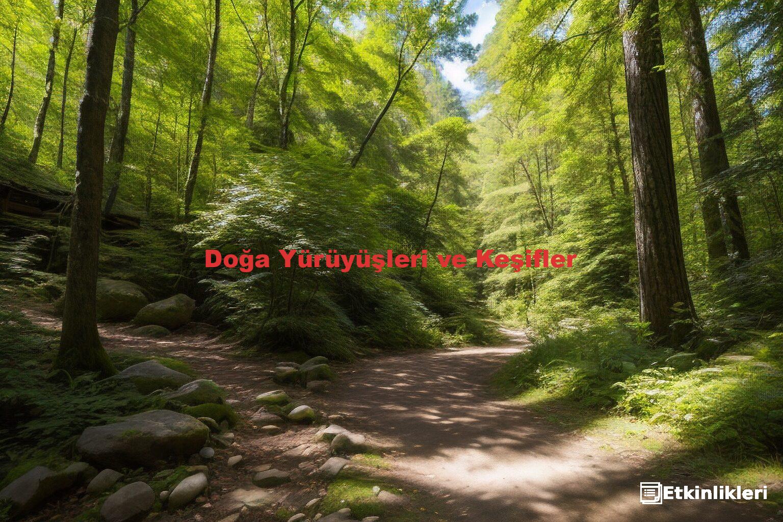 Doğa Yürüyüşleri ve Keşifler
