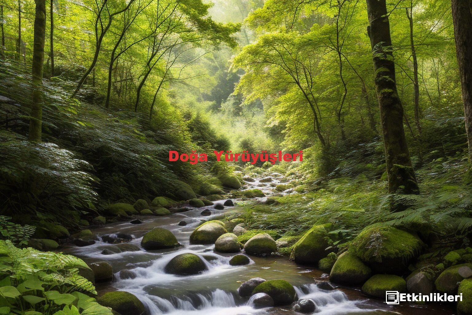 Doğa Yürüyüşleri