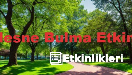 Gizli Nesne Bulma Etkinlikleri