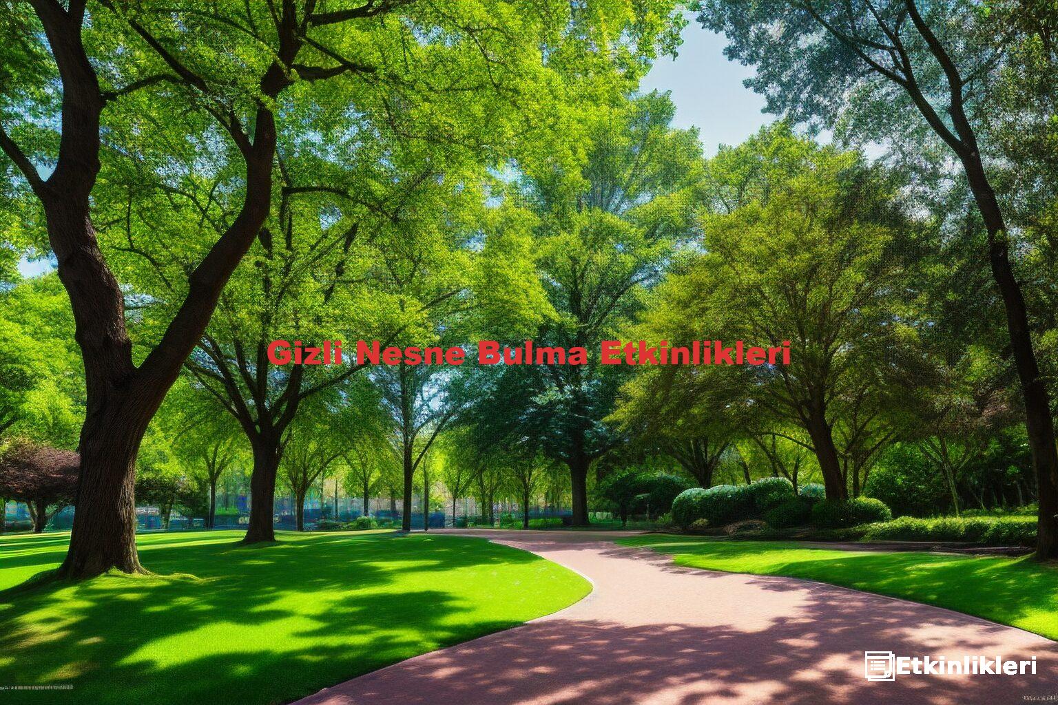 Gizli Nesne Bulma Etkinlikleri