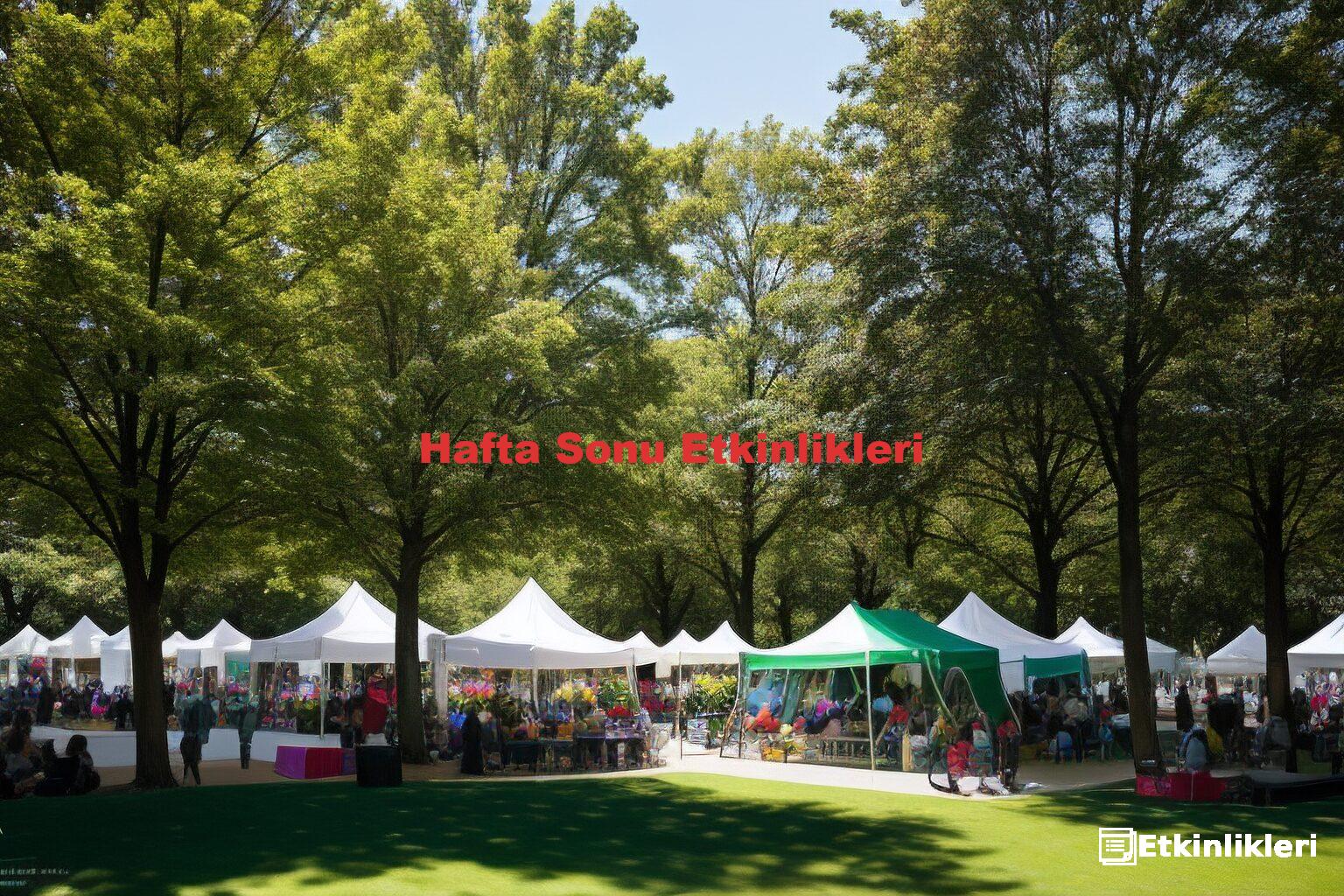 Hafta Sonu Etkinlikleri