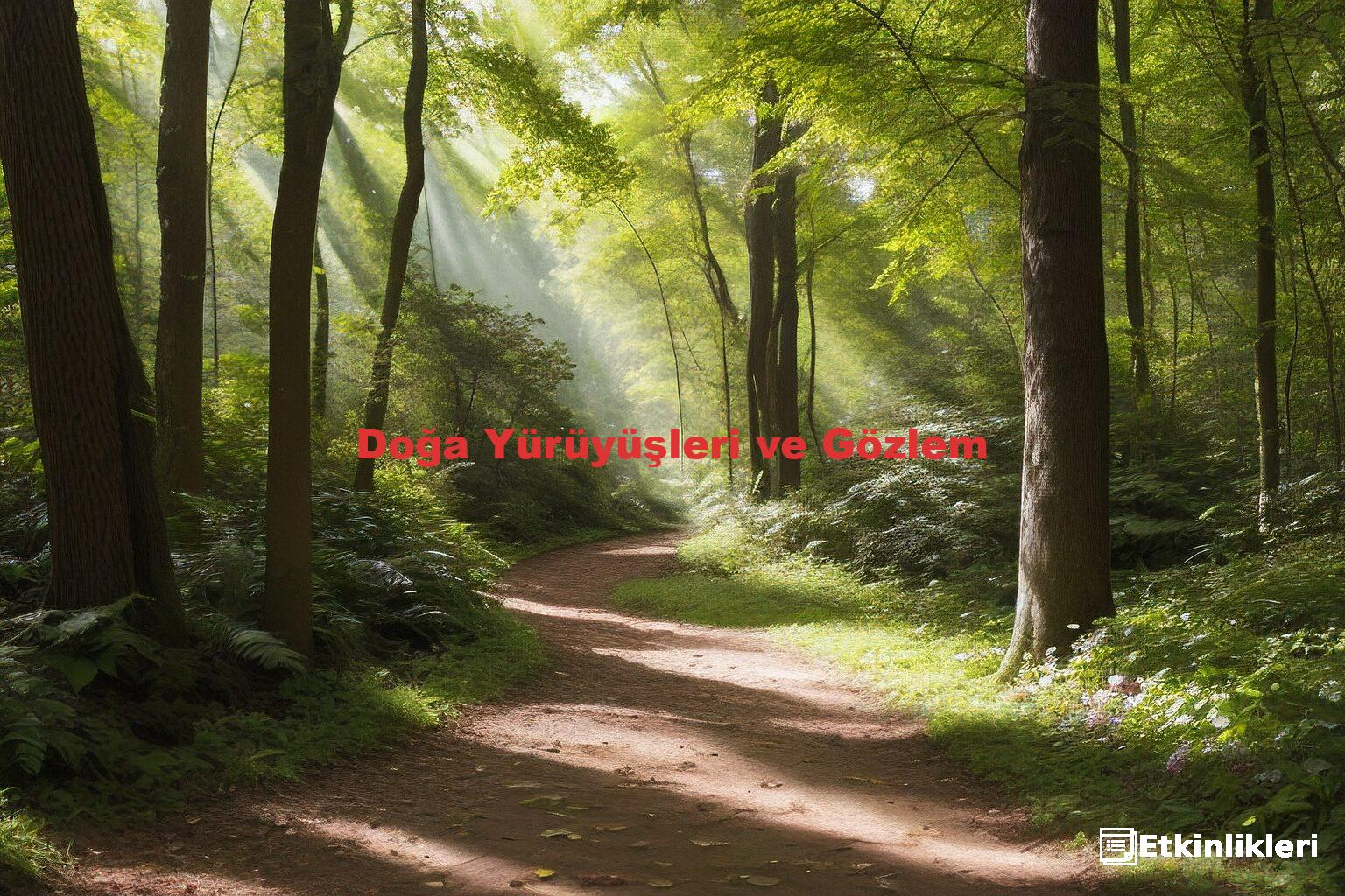 Doğa Yürüyüşleri ve Gözlem