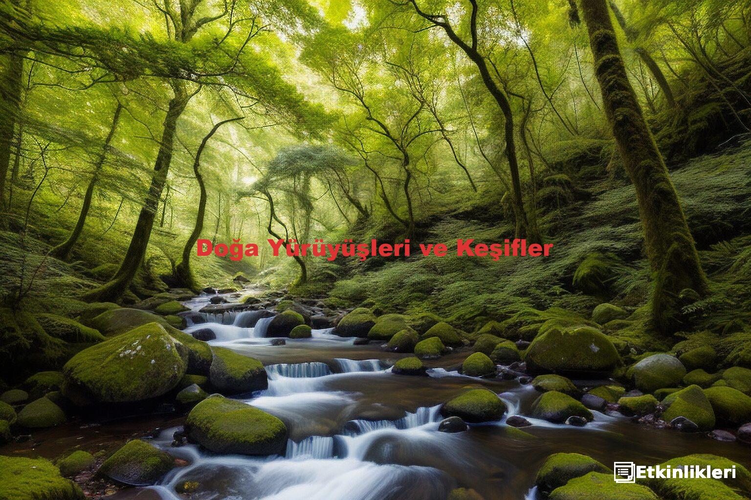 Doğa Yürüyüşleri ve Keşifler