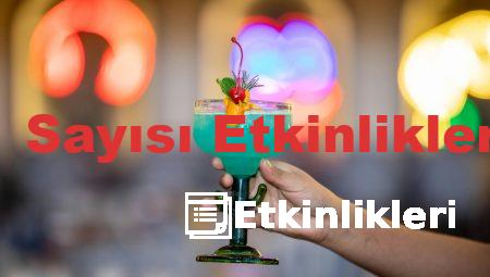 1 Sayısı Etkinlikleri