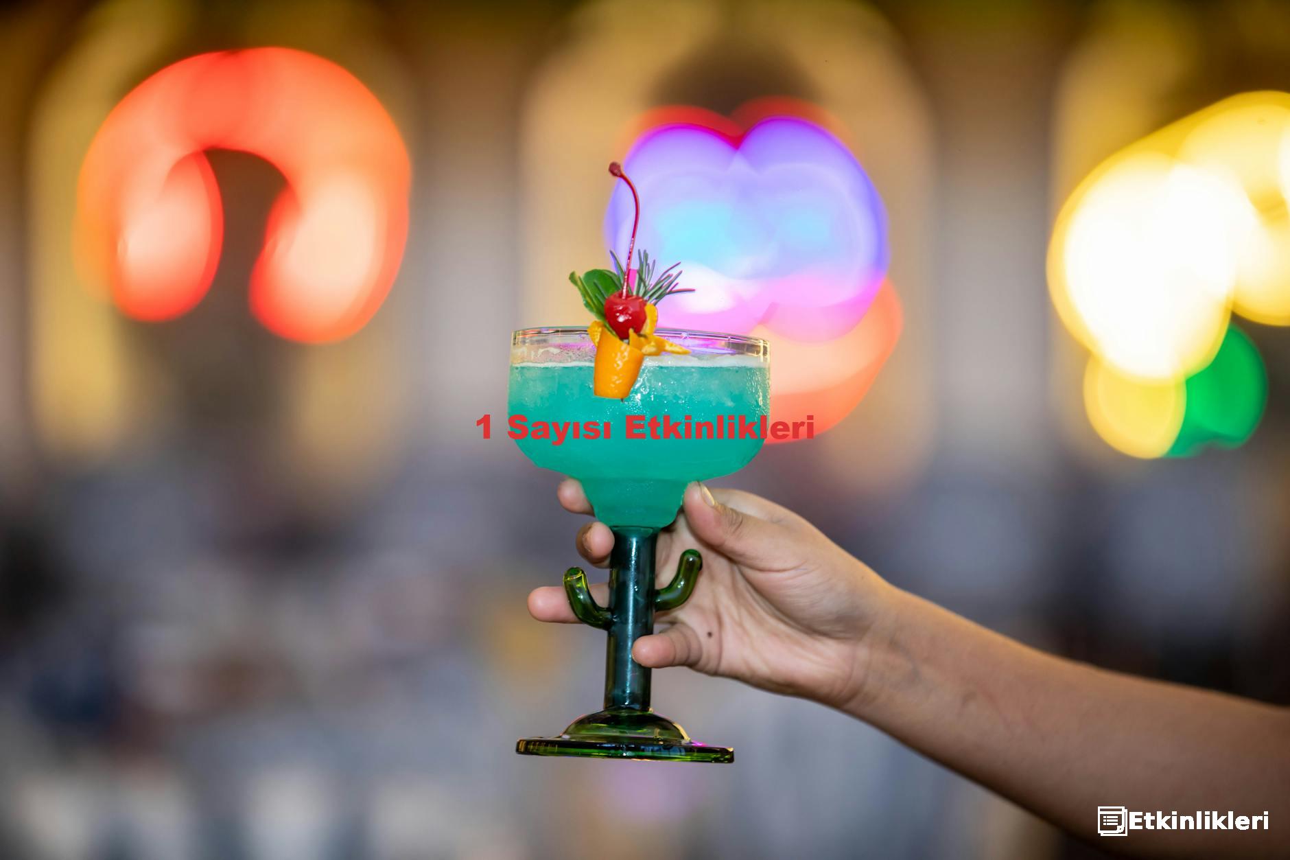 1 Sayısı Etkinlikleri
