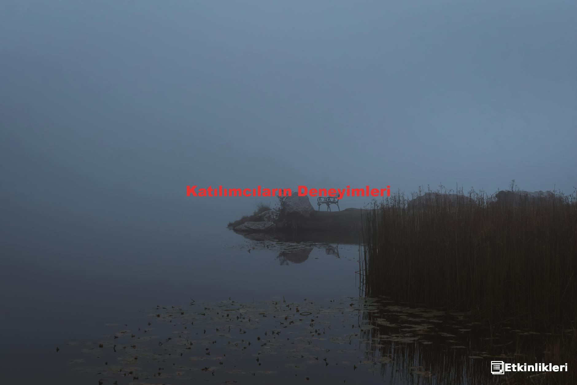 Katılımcıların Deneyimleri