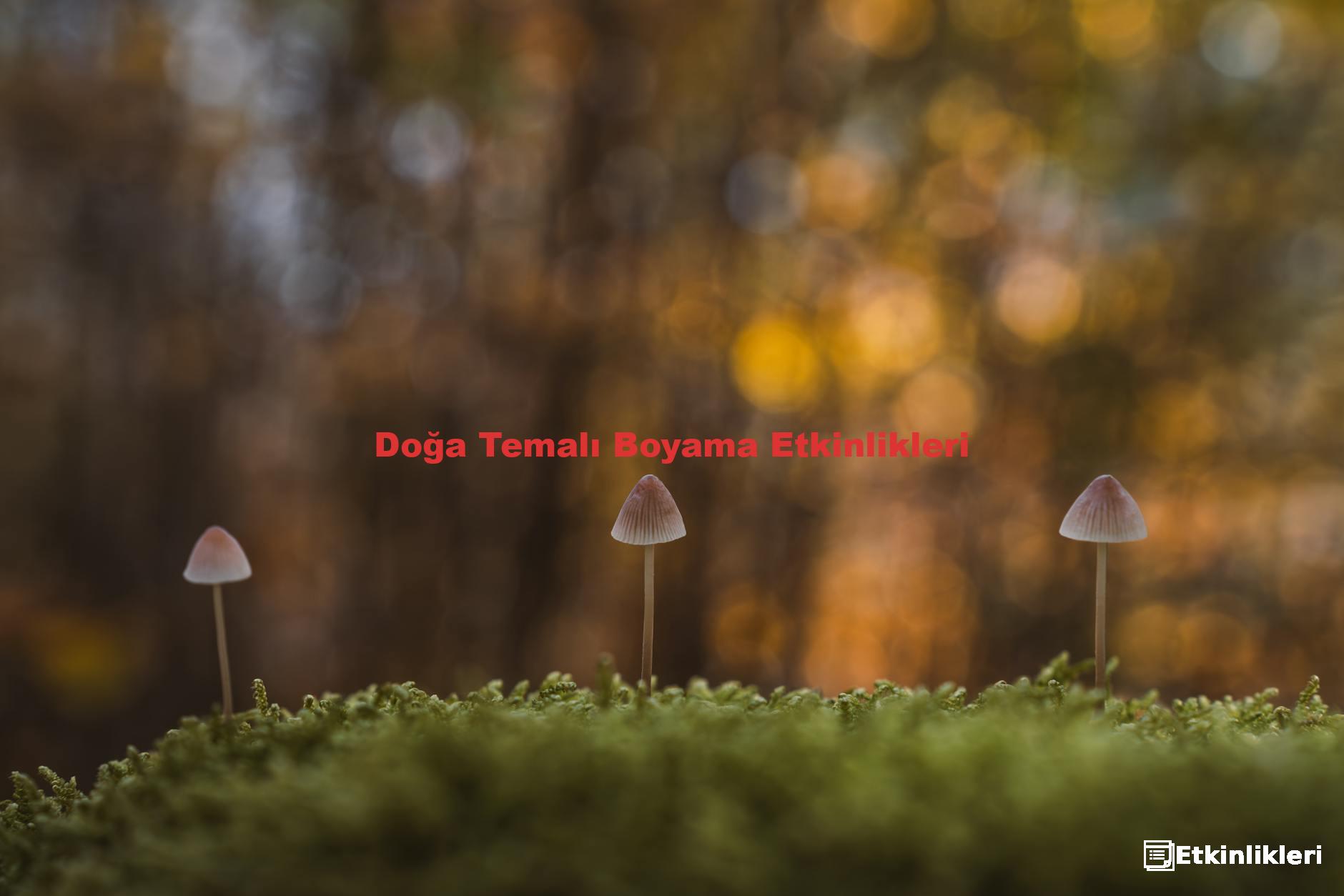 Doğa Temalı Boyama Etkinlikleri