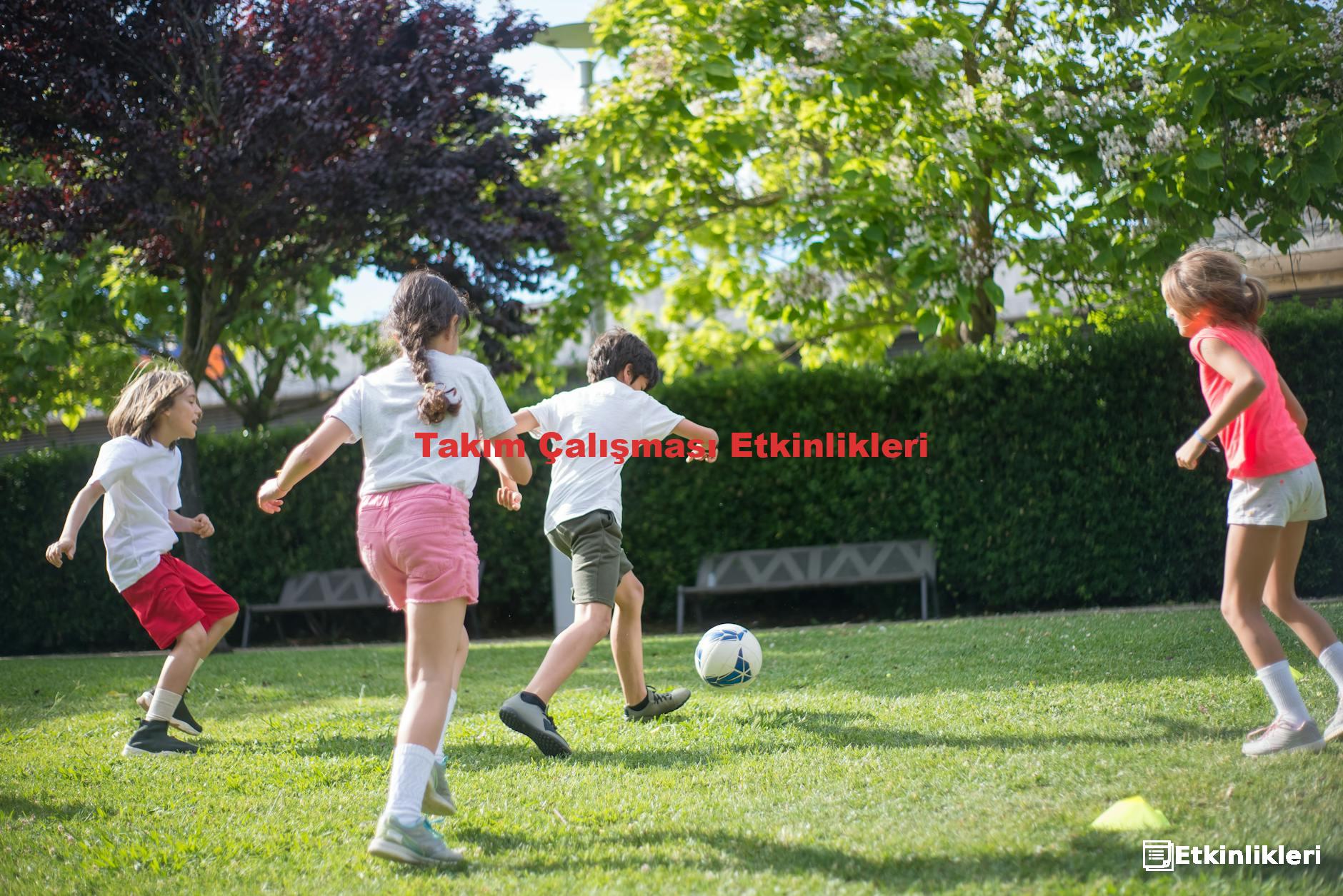 Takım Çalışması Etkinlikleri