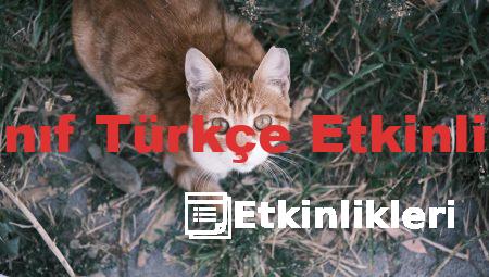 4. Sınıf Türkçe Etkinlikleri