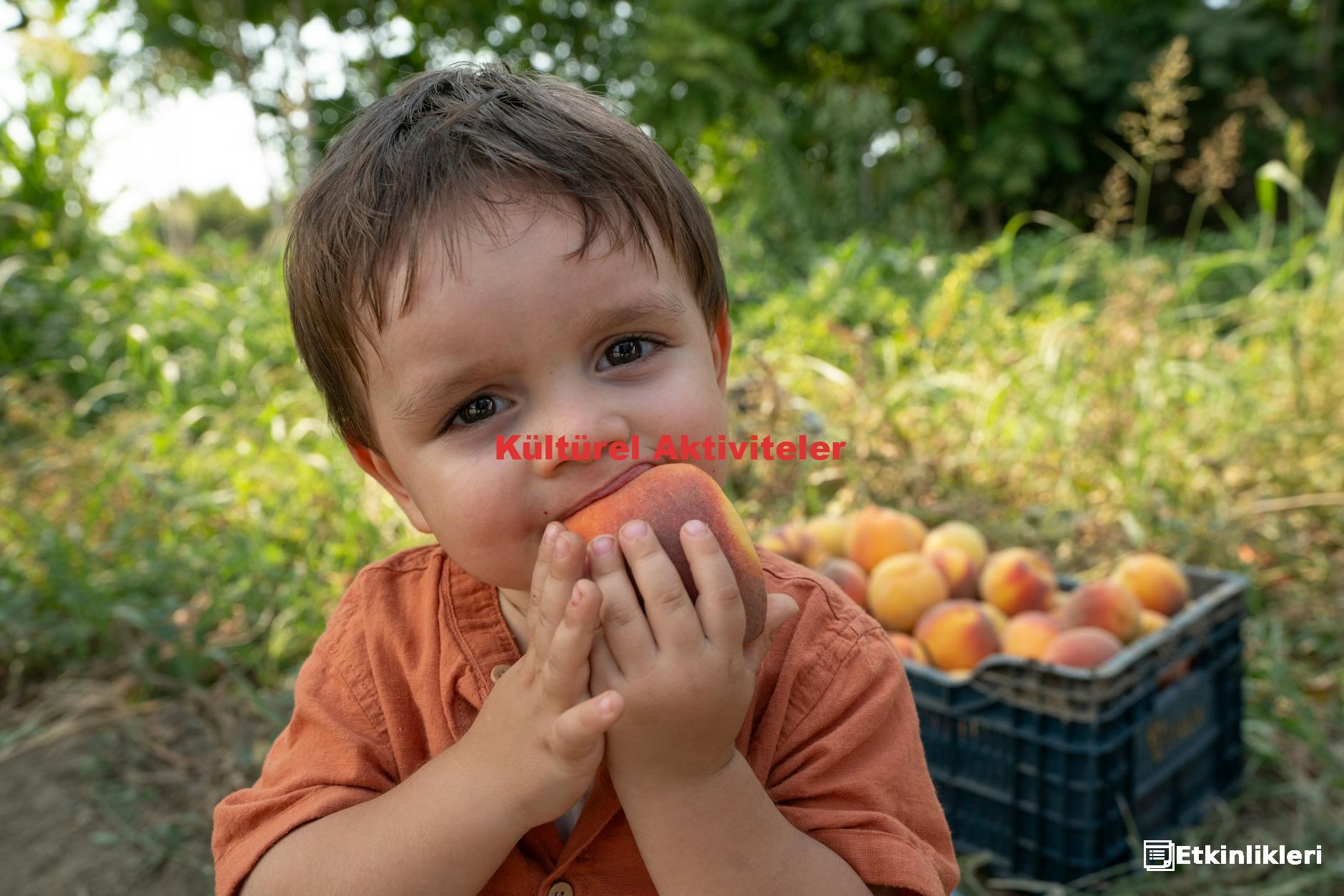 Kültürel Aktiviteler