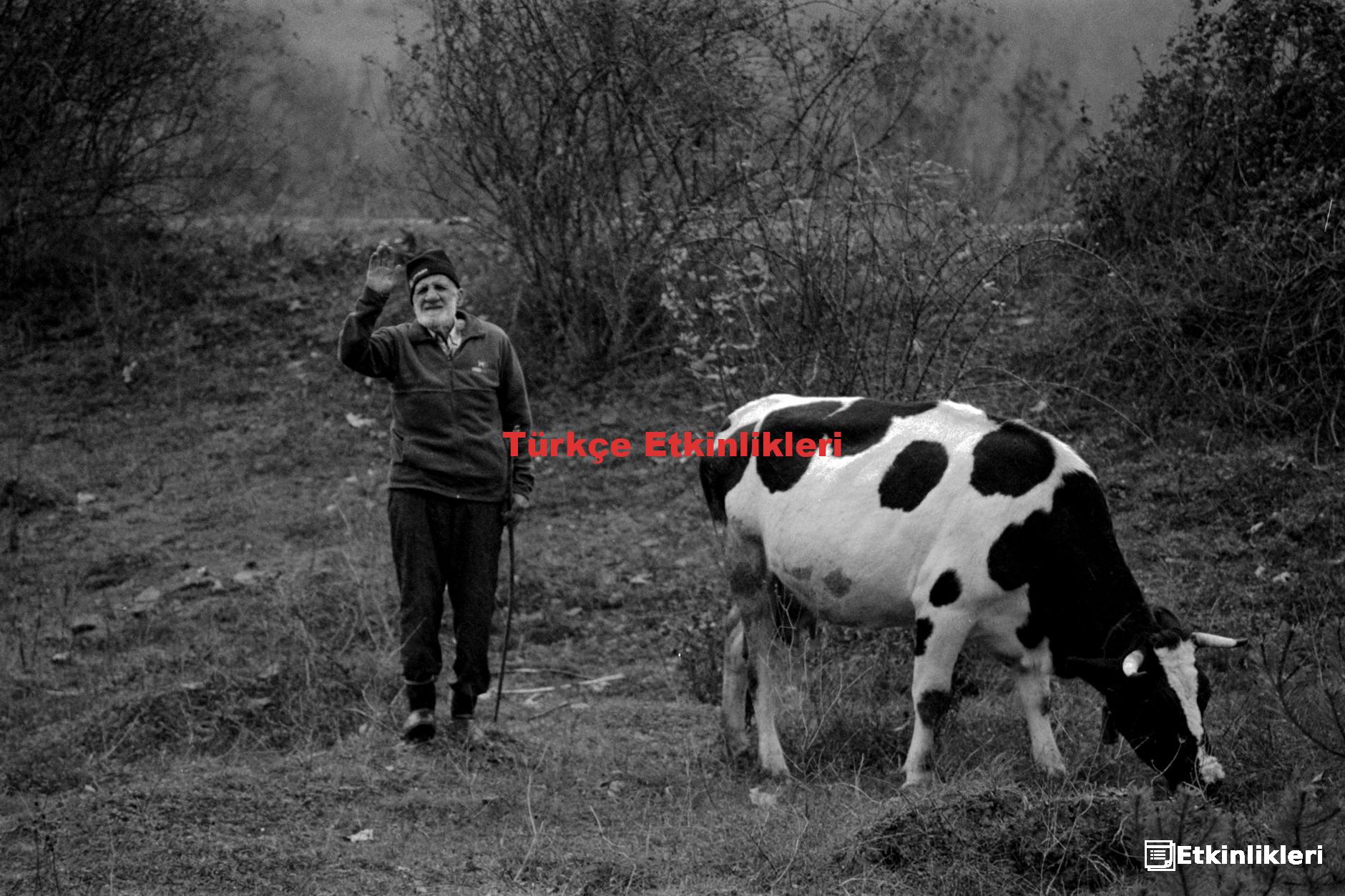 Türkçe Etkinlikleri