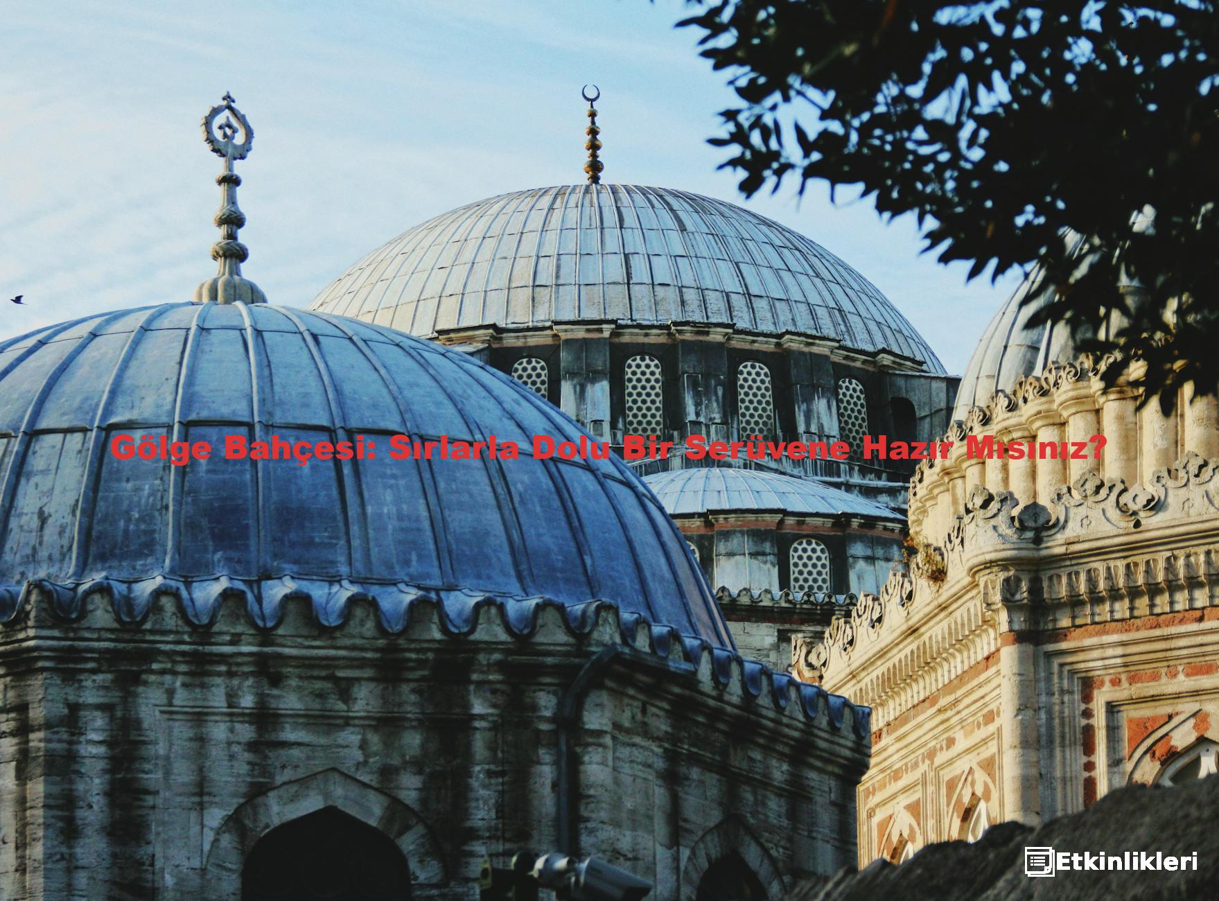 Gölge Bahçesi: Sırlarla Dolu Bir Serüvene Hazır Mısınız?