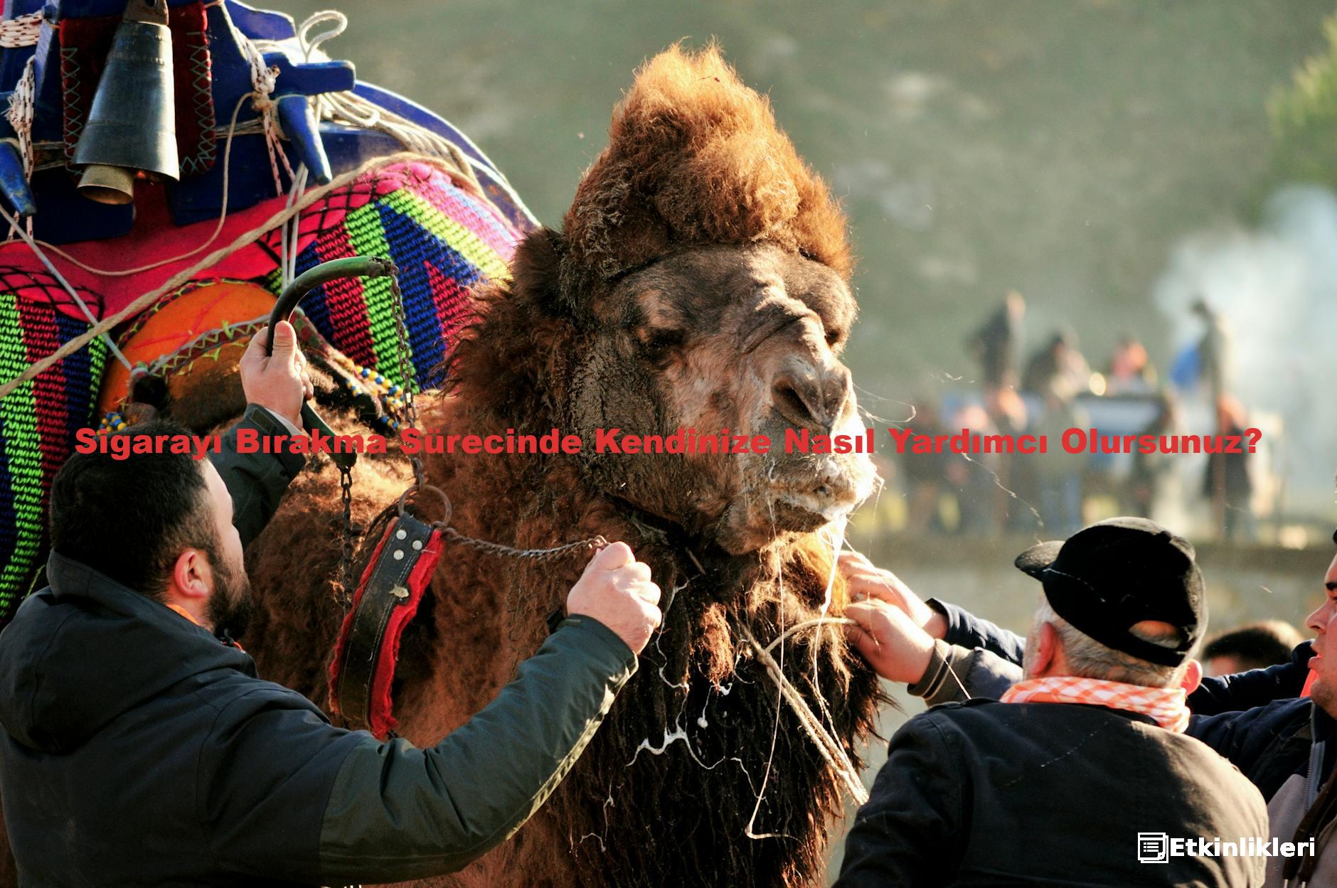 Sigarayı Bırakma Sürecinde Kendinize Nasıl Yardımcı Olursunuz?