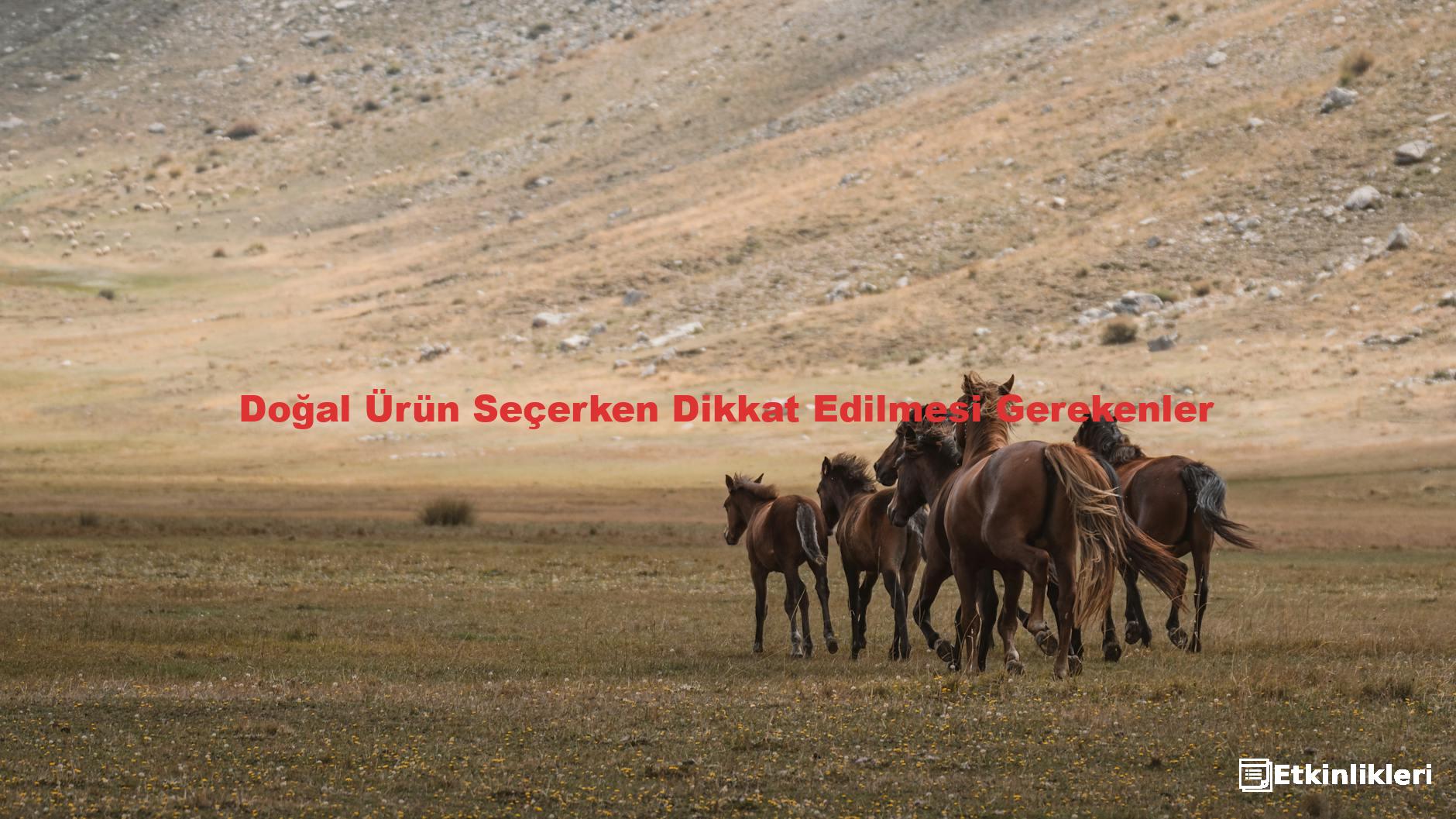 Doğal Ürün Seçerken Dikkat Edilmesi Gerekenler