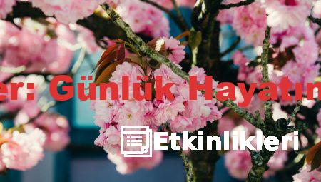 Almanca Günler: Günlük Hayatınıza Renk Katın