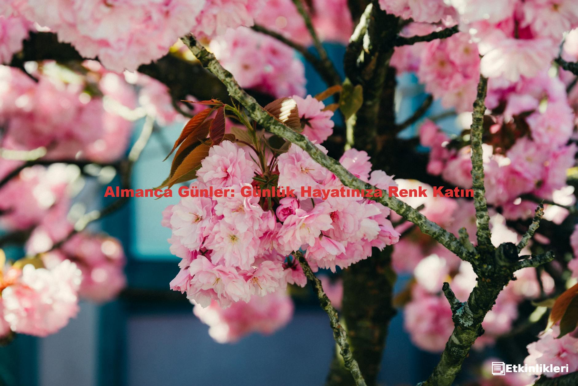 Almanca Günler: Günlük Hayatınıza Renk Katın