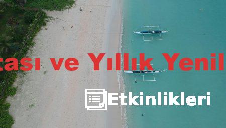 Araç Sigortası ve Yıllık Yenileme Süreci