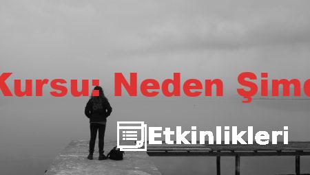 Bursa’da Ehliyet Kursu: Neden Şimdi Başlamalısınız?