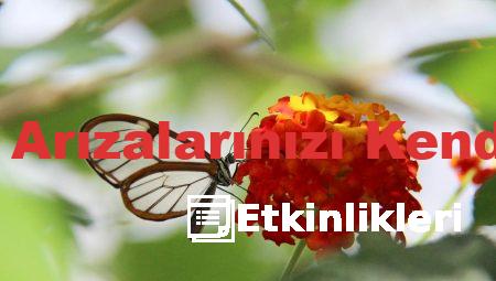 Oto Elektrik Arızalarınızı Kendiniz Giderin!