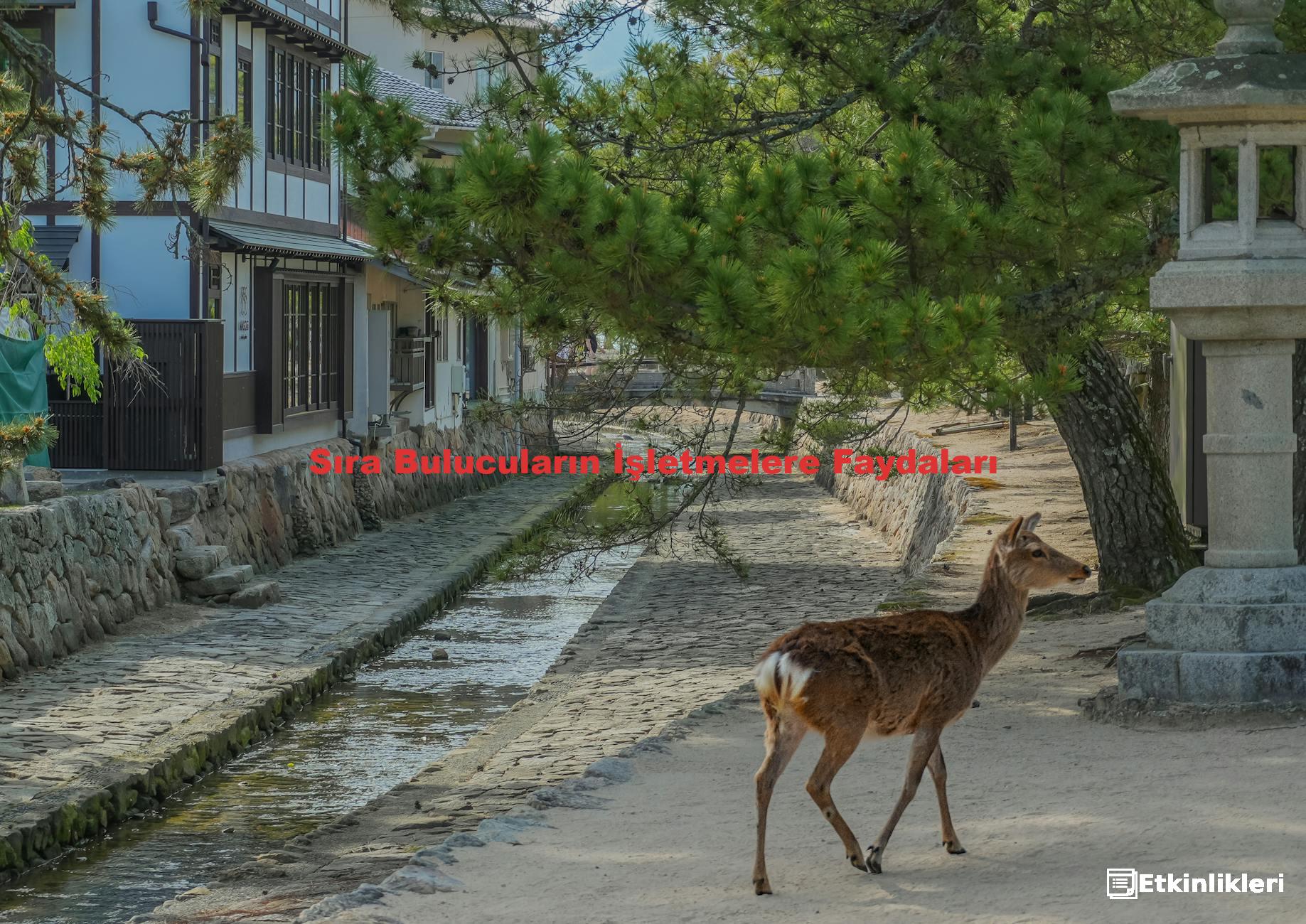 Sıra Bulucuların İşletmelere Faydaları