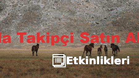 Sosyal Medyada Takipçi Satın Almanın Riskleri