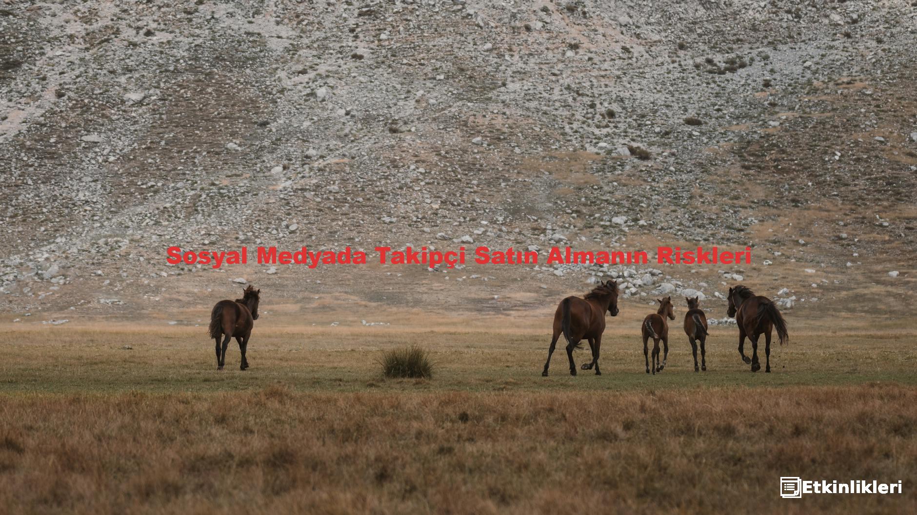 Sosyal Medyada Takipçi Satın Almanın Riskleri