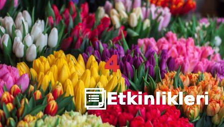 Bursa’nın En Popüler Çiçekçi Dükkanları