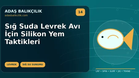 Sığ Suda Levrek Avı İçin Silikon Yem Taktikleri