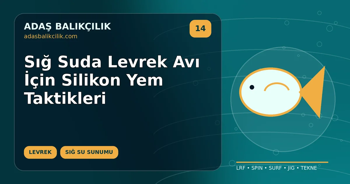 Sığ Suda Levrek Avı İçin Silikon Yem Taktikleri